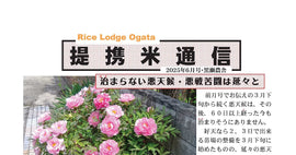 25年6月/治まらない悪天候・悪戦苦闘は延々と