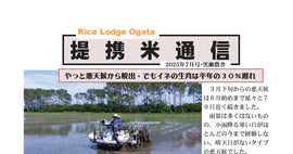 25年7月/病害虫農薬を止めるのは比較的簡単。でも困難な除草剤排除