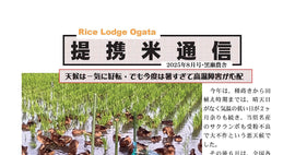 25年8月/JAの販売委託方式/無責任な米流通システム