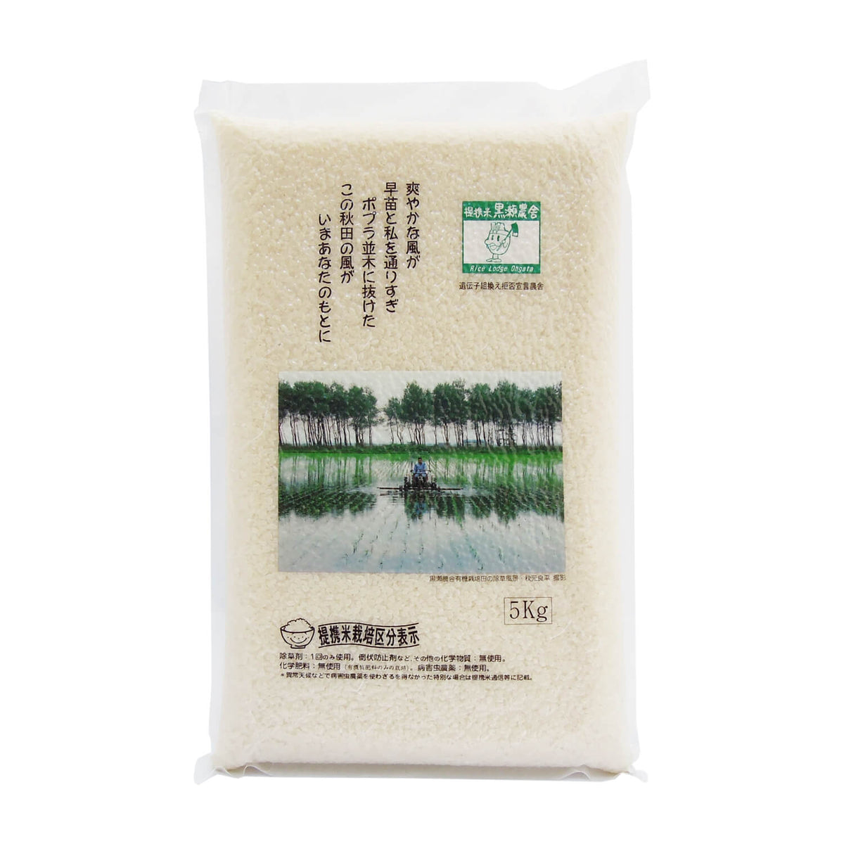 【農薬・化学肥料・除草剤不使用】もち米　ハリマモチ　5キロ 農薬不使用・肥料除草剤不使用》お日さまたっぷりのお米『日本晴