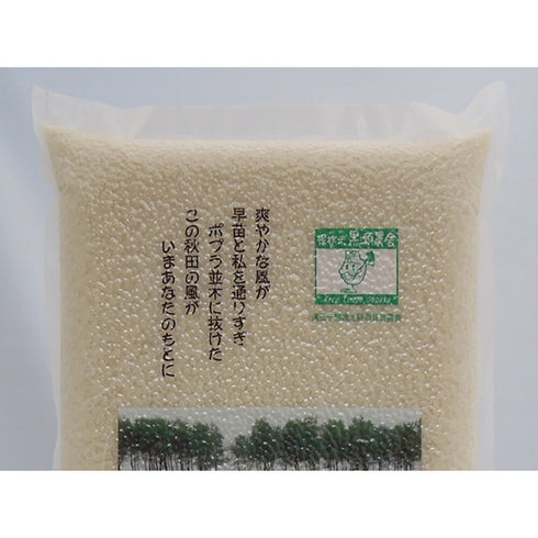 減農薬 あきたこまち 白米 5kg