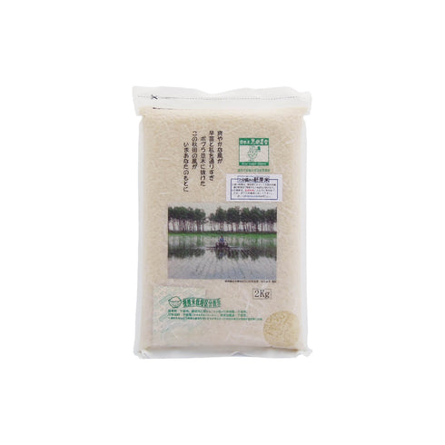 あきたこまち 農薬化学肥料不使用 7部搗き米 2kg